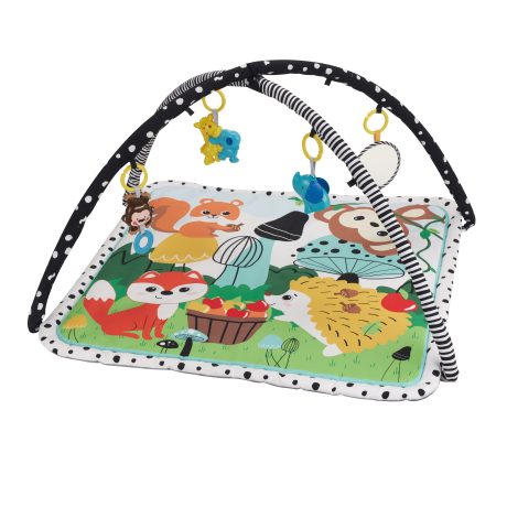 Baby Play Mat